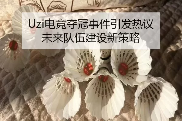 Uzi电竞夺冠事件引发热议 未来队伍建设新策略