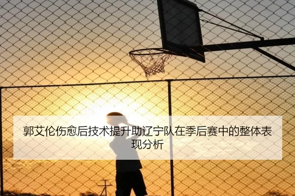 郭艾伦伤愈后技术提升助辽宁队在季后赛中的整体表现分析
