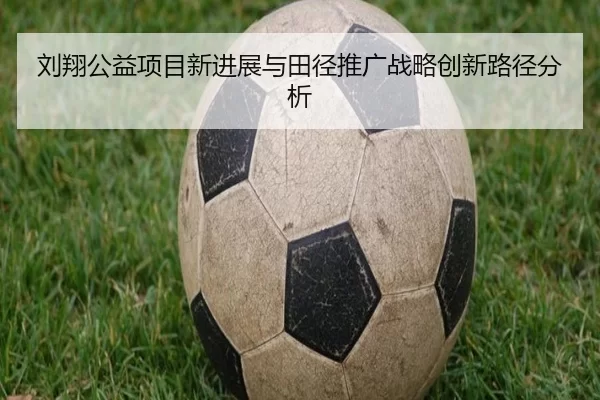 刘翔公益项目新进展与田径推广战略创新路径分析